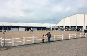 PEXPO EL JADIDA - Paddock